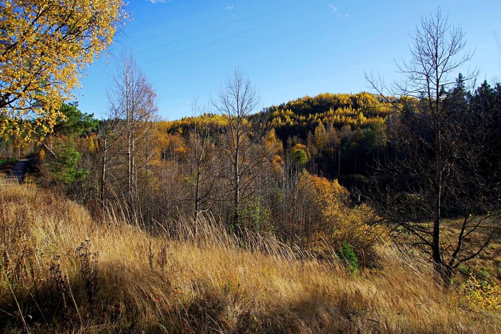 Дорогами осени. Карелия
