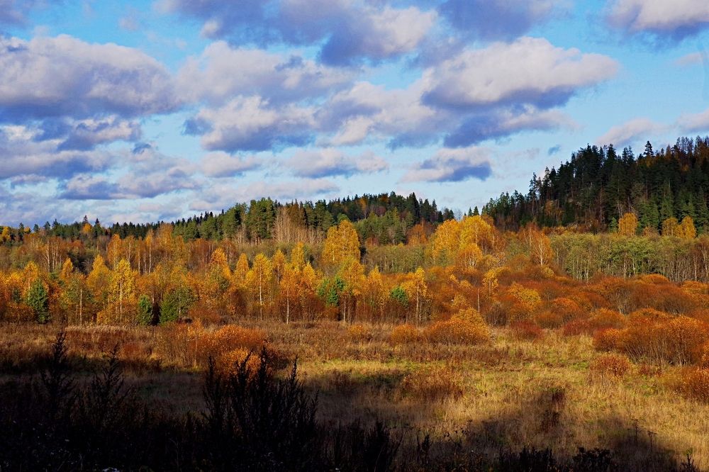 Дорогами осени. Карелия