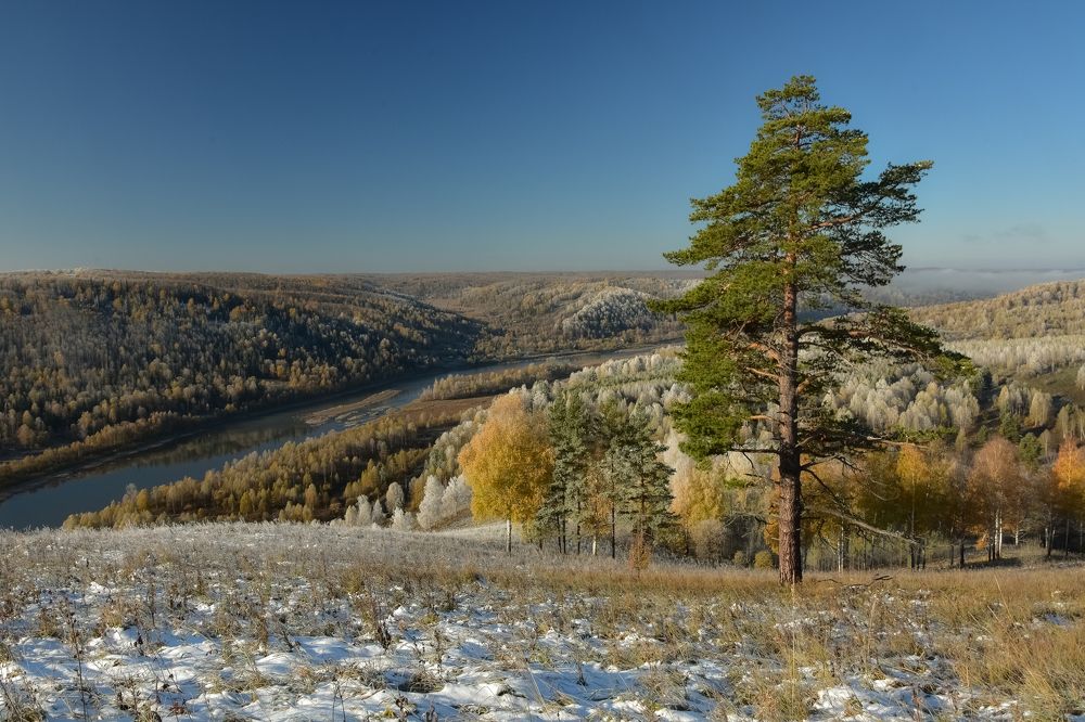 Октябрьские заморозки