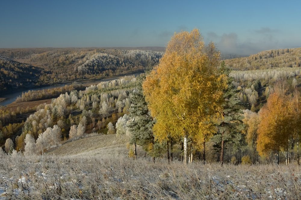 Октябрьские заморозки