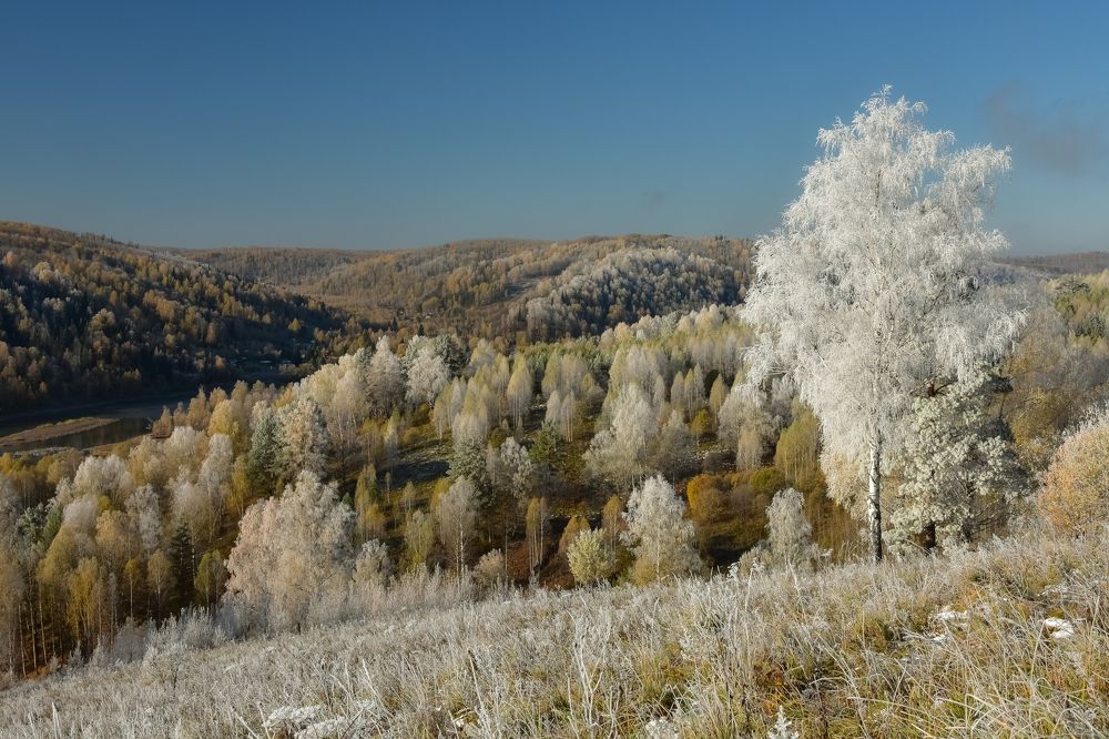 Октябрьские заморозки