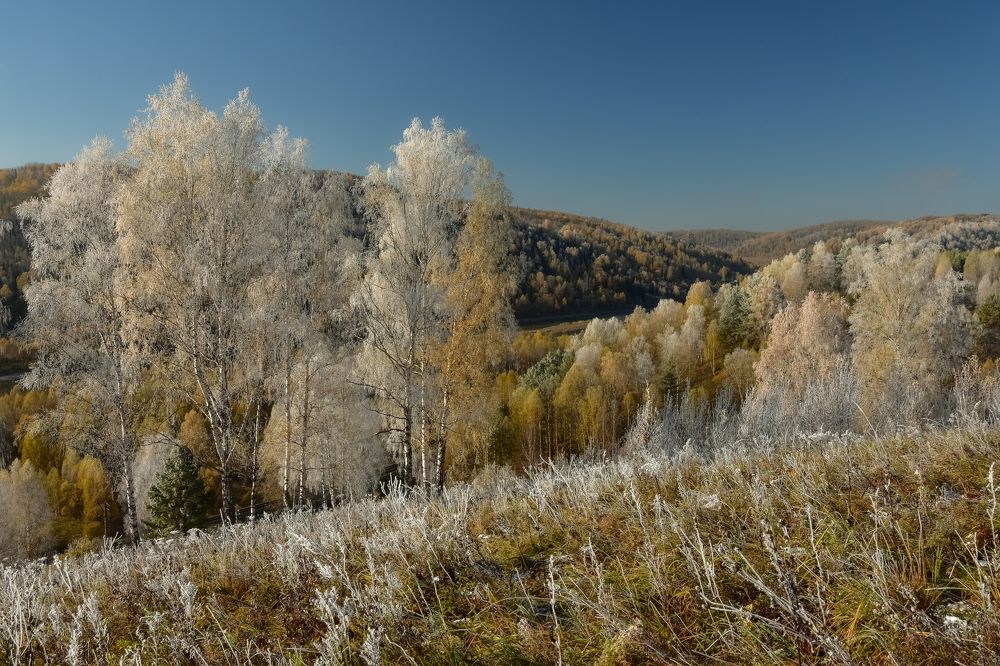 Октябрьские заморозки