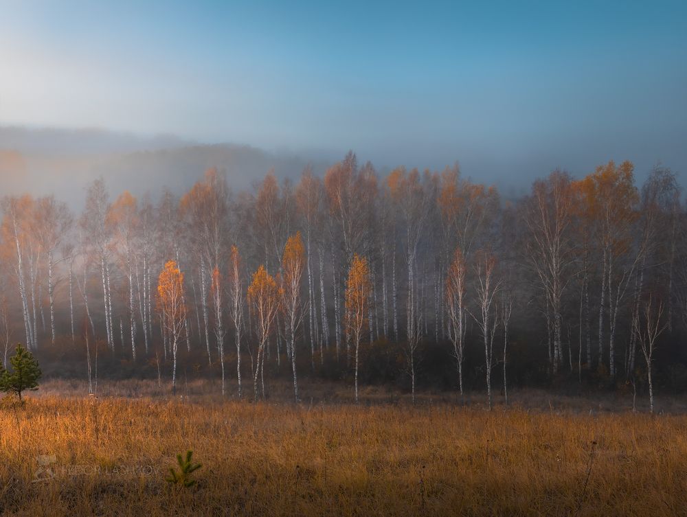 Время туманов