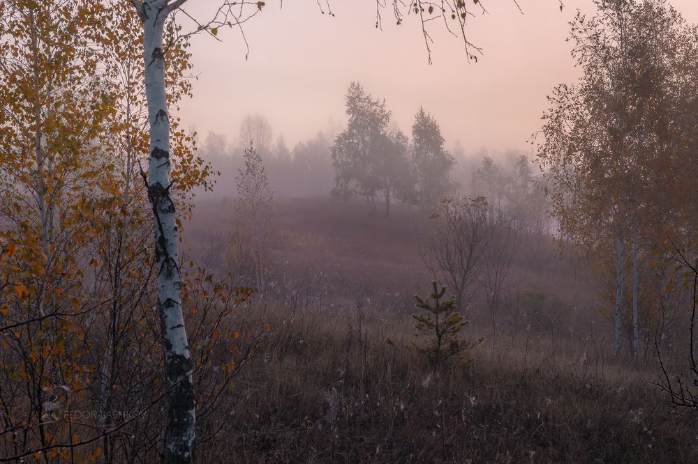 Время туманов