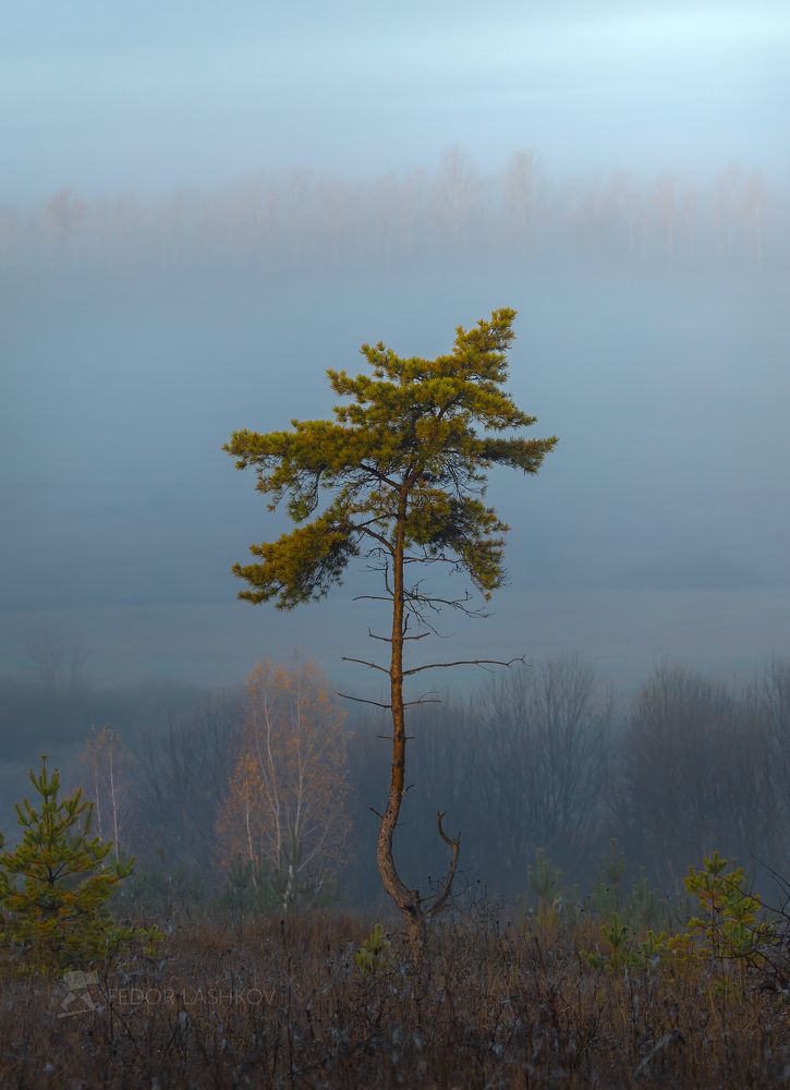 Время туманов