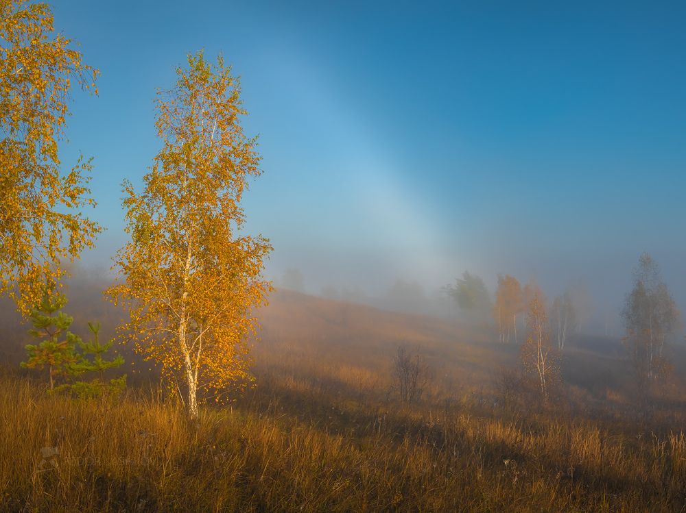 Время туманов