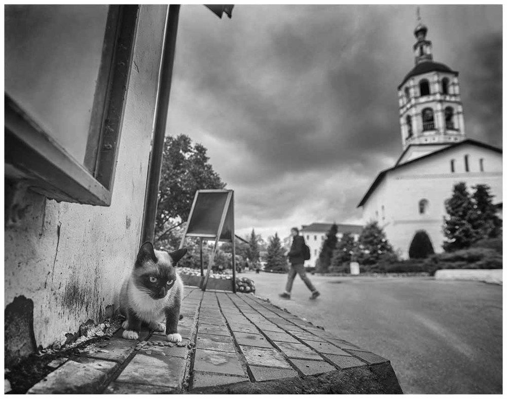 Photo 2262527