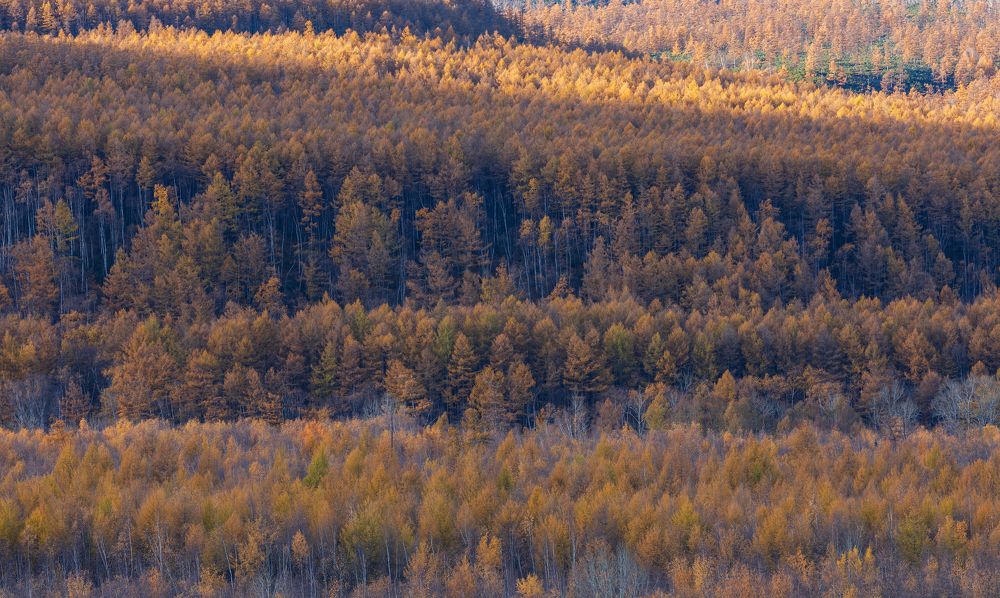 Осенние пейзажи Камчатки