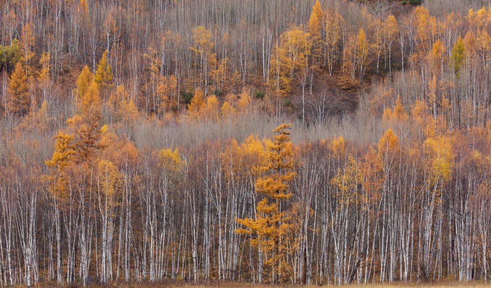 Осенняя Камчатка