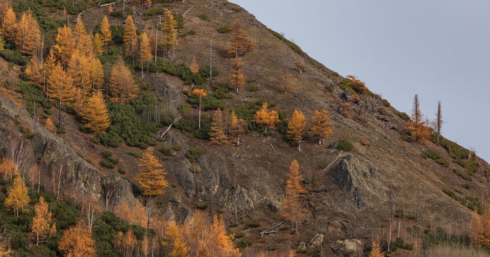 Осенняя Камчатка