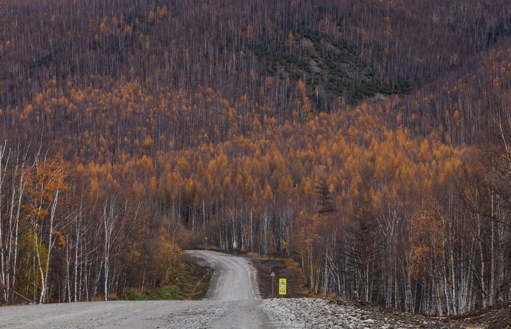 Осенняя Камчатка