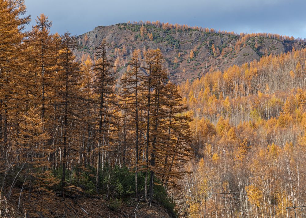 Осенняя Камчатка