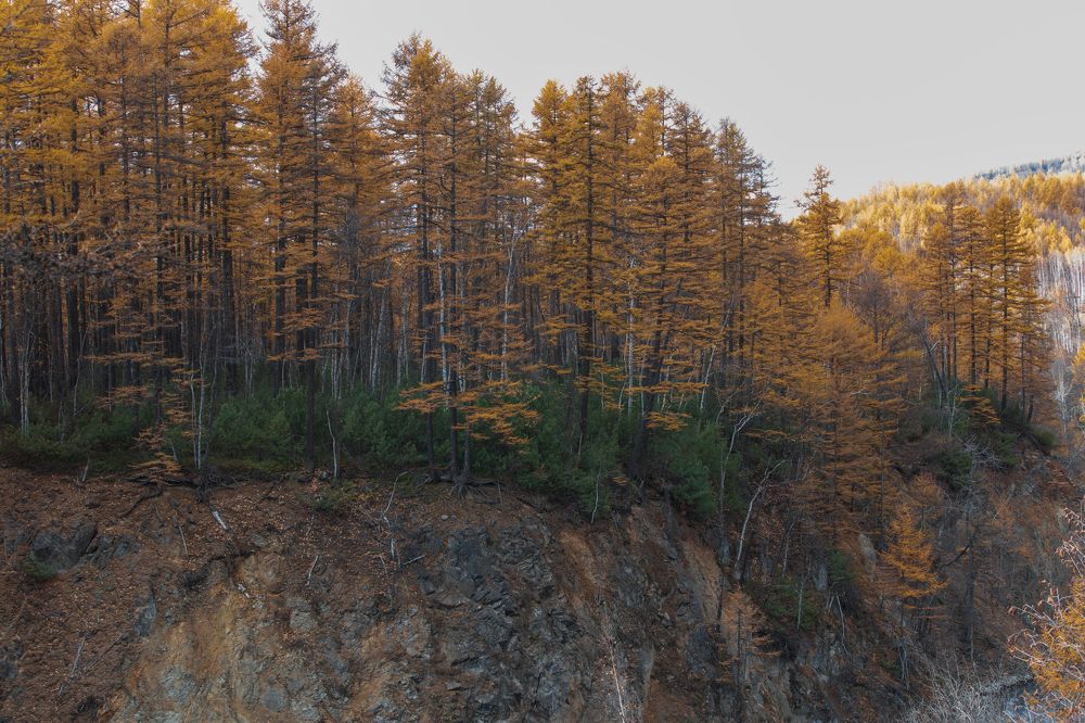 Осенняя Камчатка