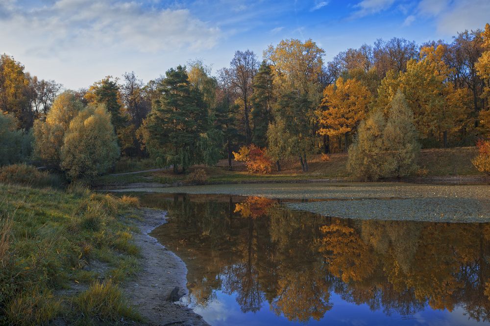 осень