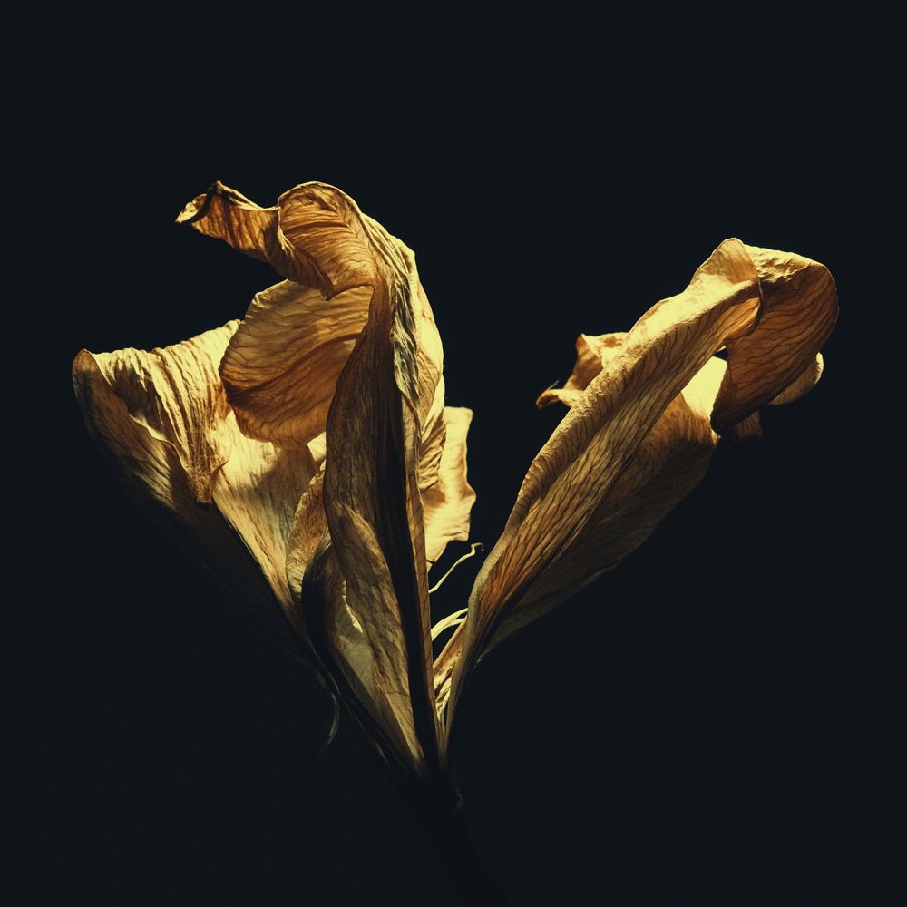 GOLDEN
