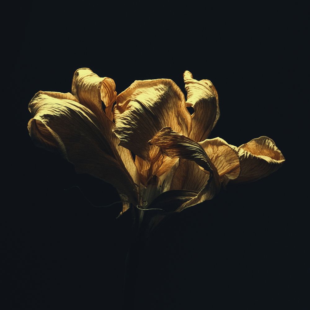 GOLDEN