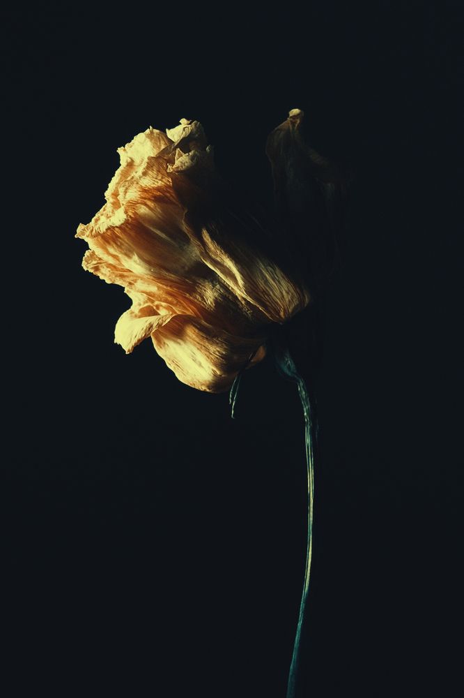 GOLDEN