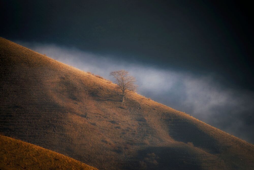 Photo 2263304