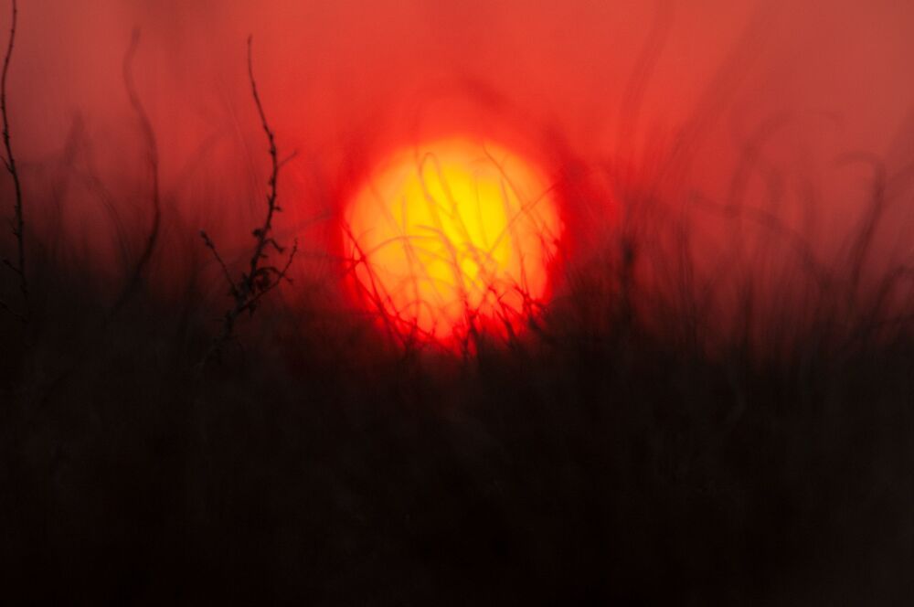 Photo 2263307