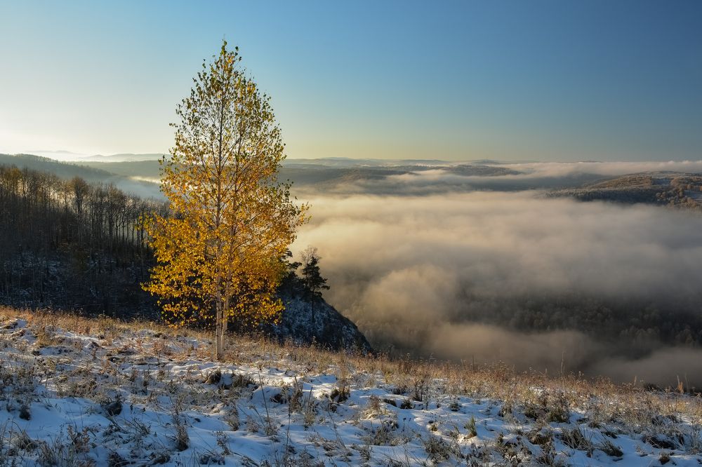 Туманное утро на Катунских утёсов