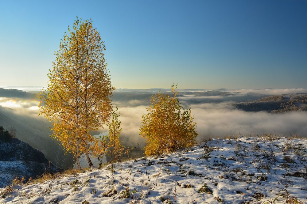 Туманное утро на Катунских утёсов
