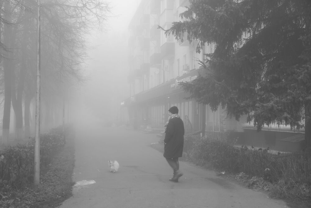 В тумане