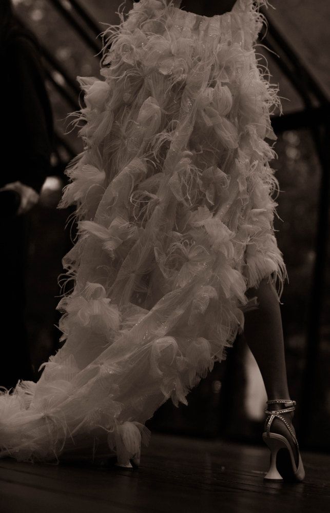 Photo 2263449