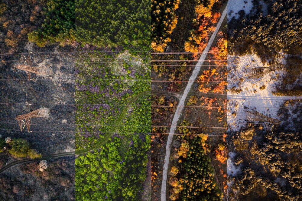"Four Seasons" visual interpretation