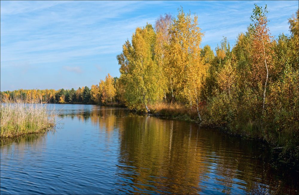 Октябрь на лесном озере