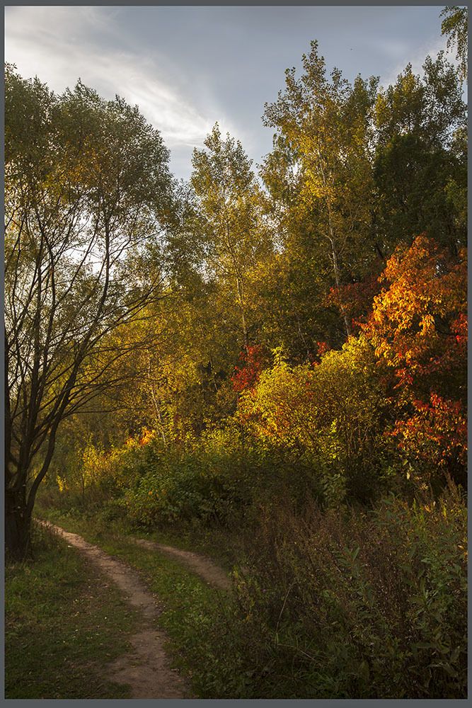 осень