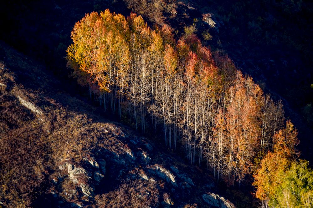 Осень на Бухтарме