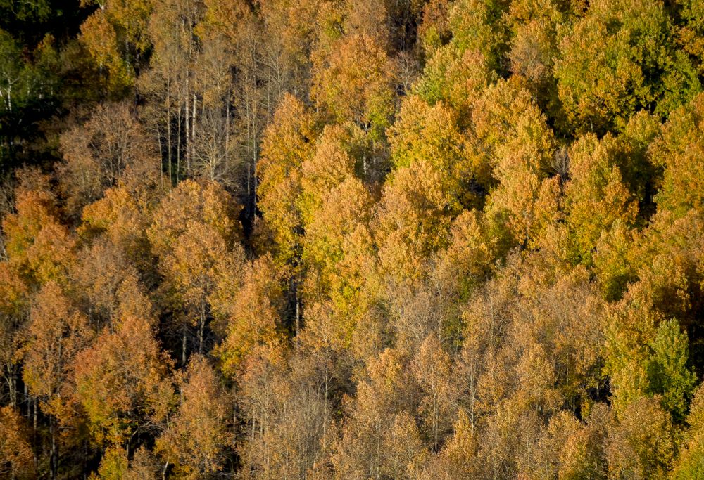 Осень на Бухтарме