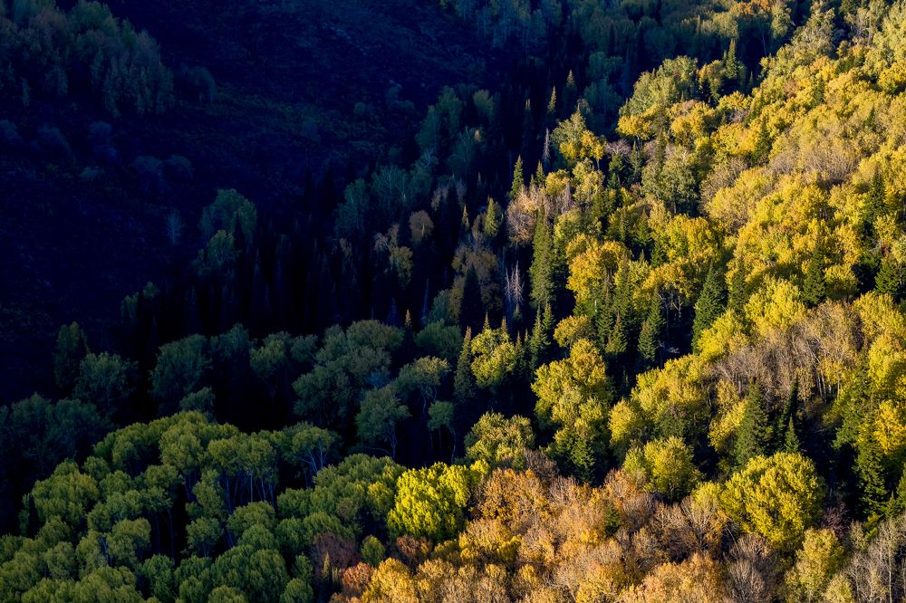 Осень на Бухтарме