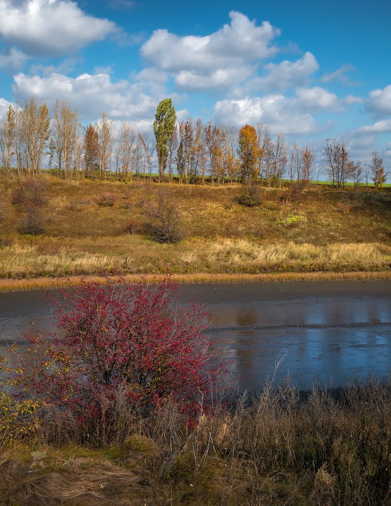 Картинки осени