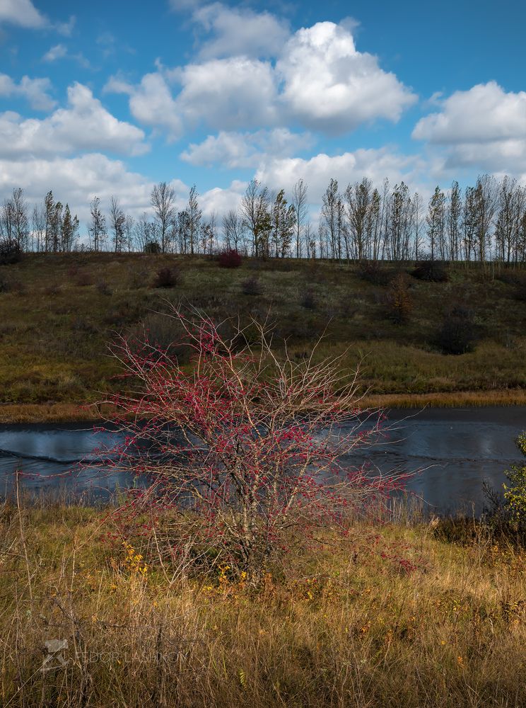 Картинки осени