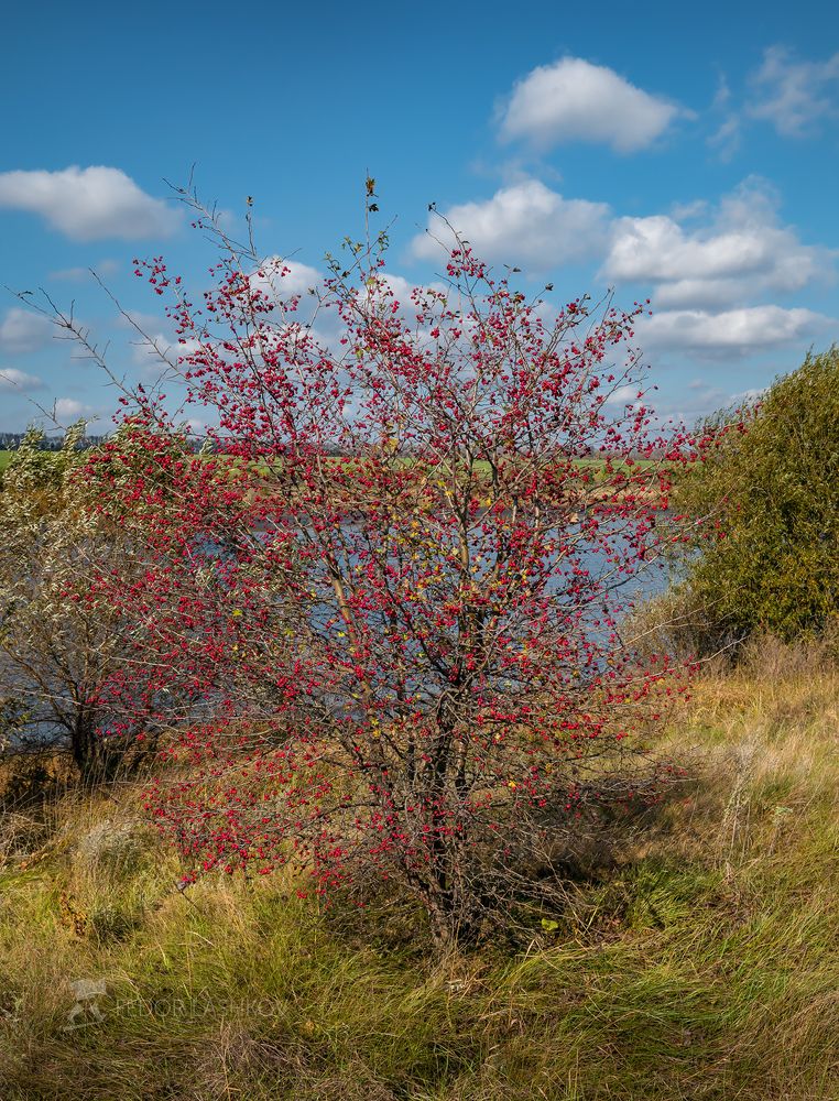 Картинки осени