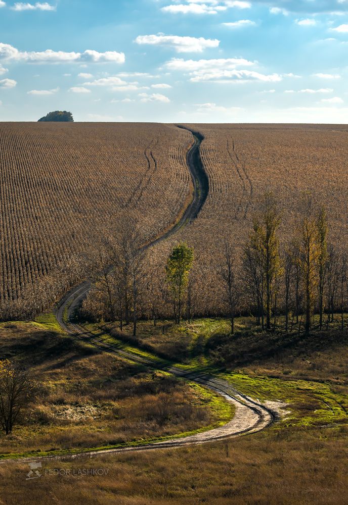 Картинки осени