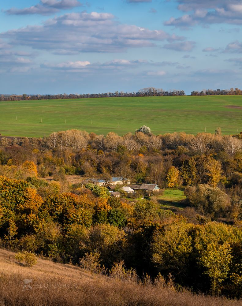 Картинки осени