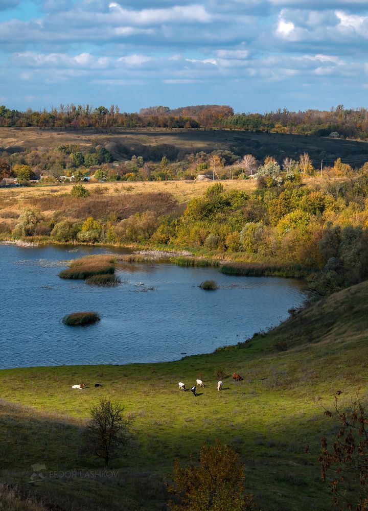 Картинки осени