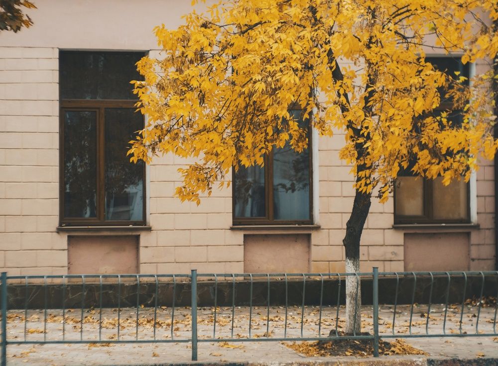 В городе желтая осень.