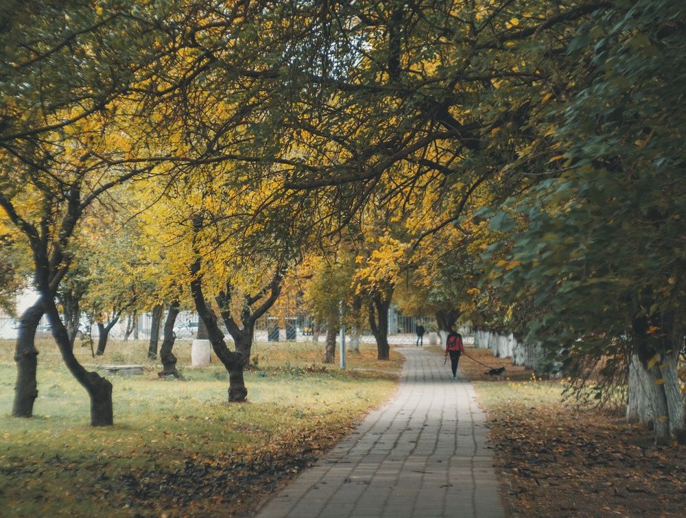 В городе желтая осень.