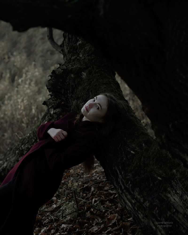 Photo 2267163