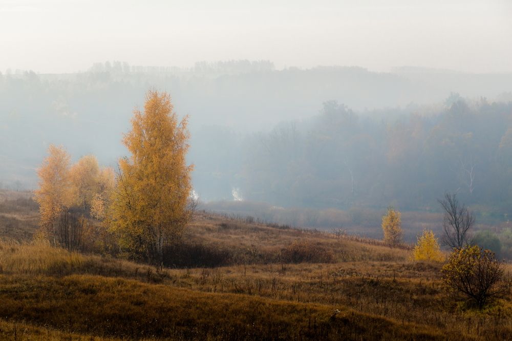 Дыхание поздней осени