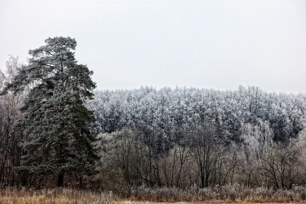 Морозное осеннее утро
