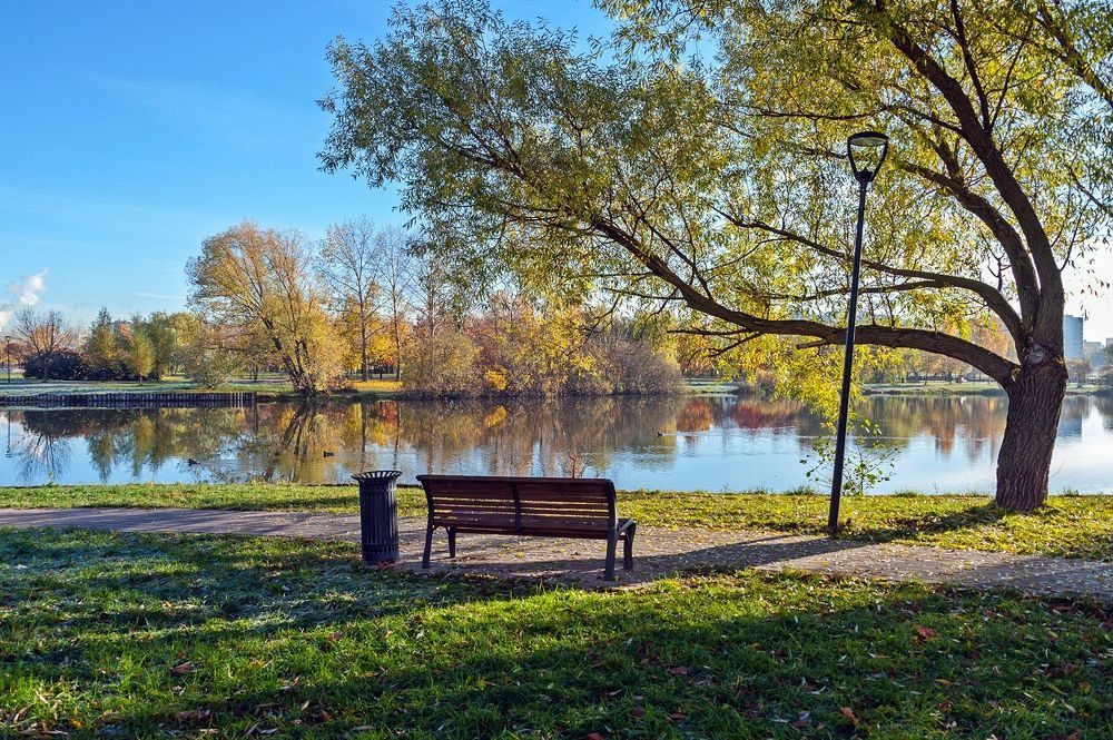 В осеннем парке