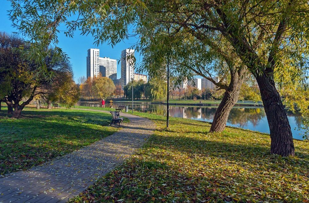В осеннем парке