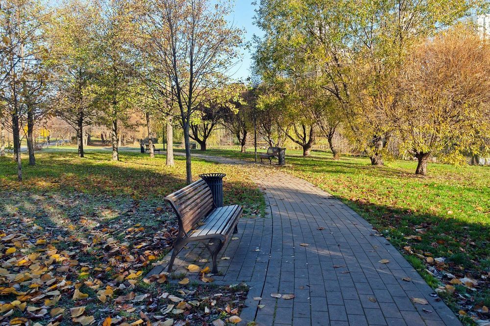 В осеннем парке