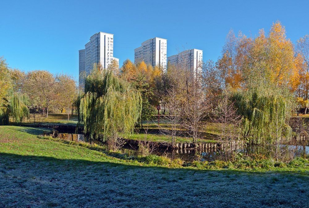 В осеннем парке