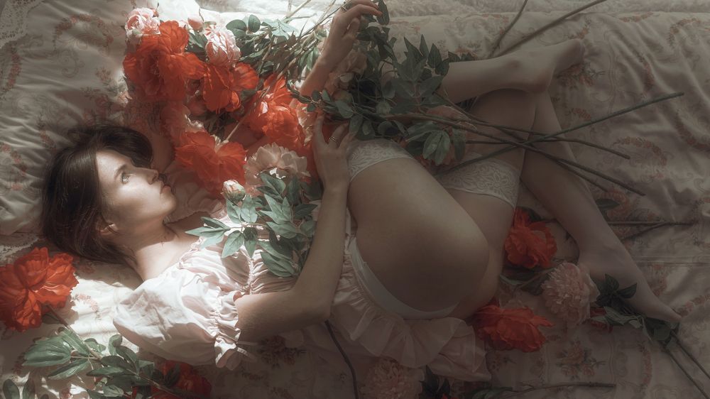 Photo 2268721