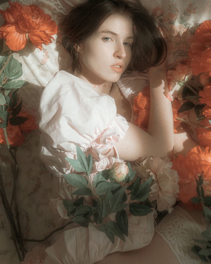 Photo 2268722